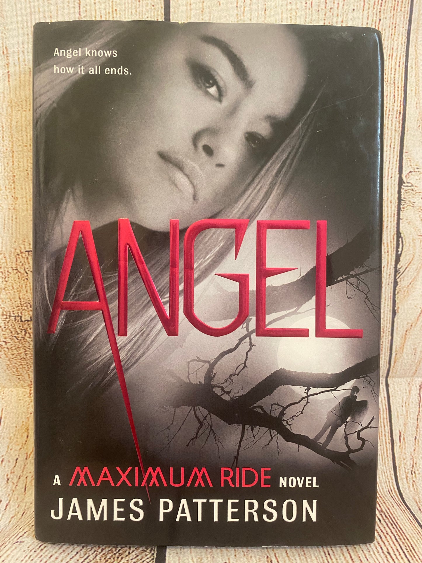 Angel- A Maximum Ride Novel - James Patterson
